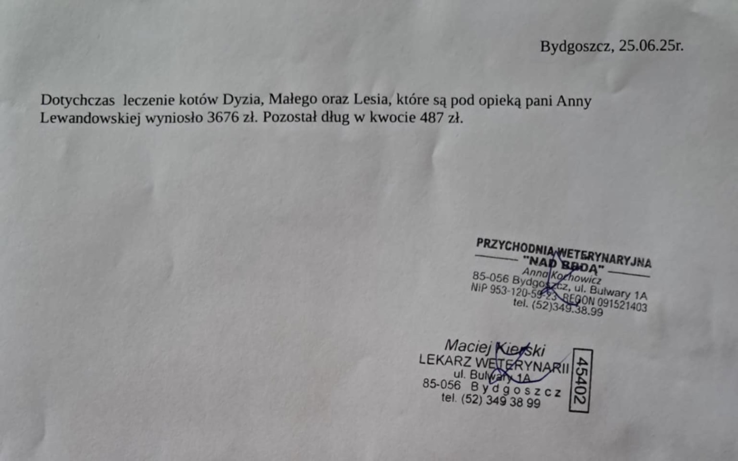 
        Dokument dotyczący leczenia kotów z długiem do zapłaty.
    