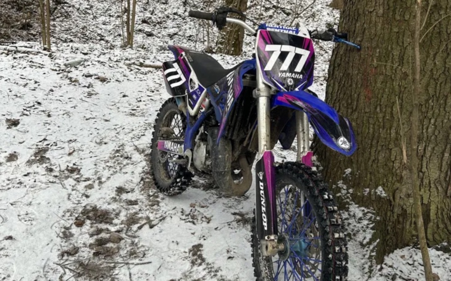 
        Motocykl terenowy zaparkowany przy drzewie w lesie.
    