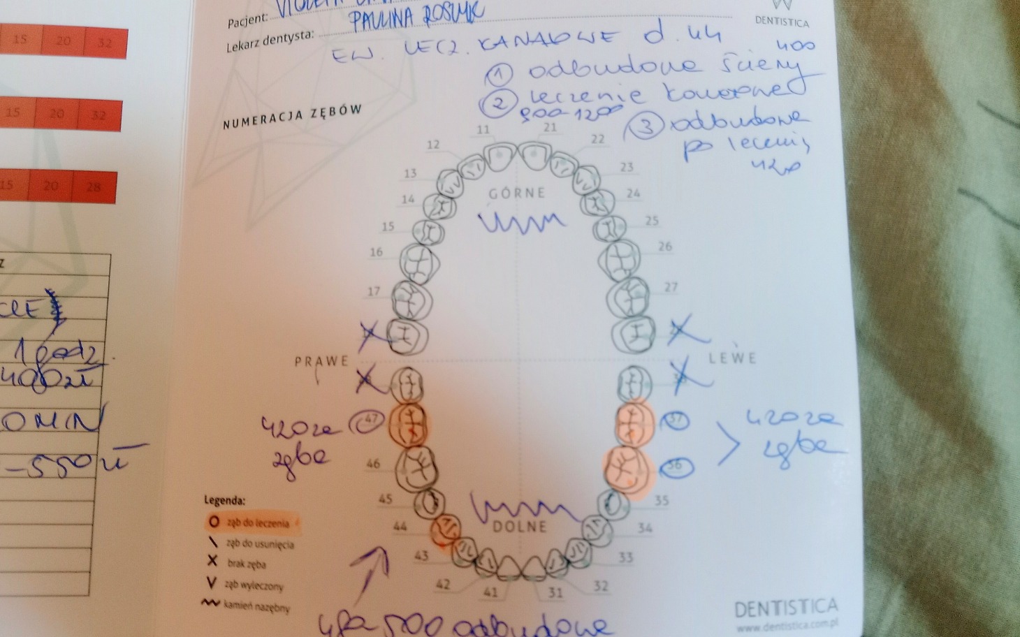 
        Dokumentacja dentystyczna z rysunkami zębów.
    