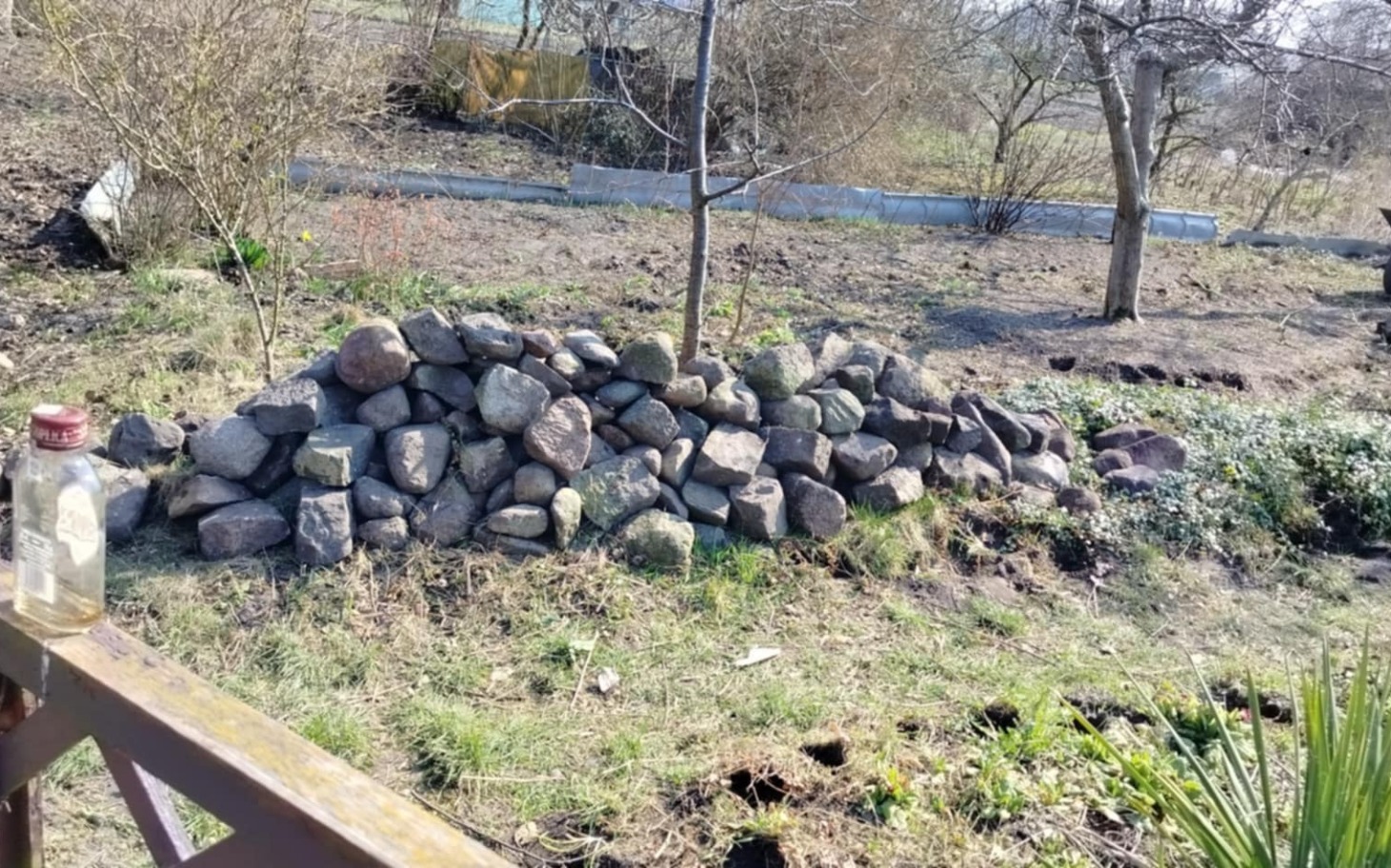 
        Widok na kamienny mur w ogrodzie, z drzewem w tle.
    