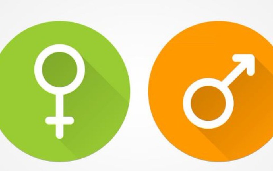 
        Zbiórka czuję się inny zmiana płci - zdjęcie główne
    