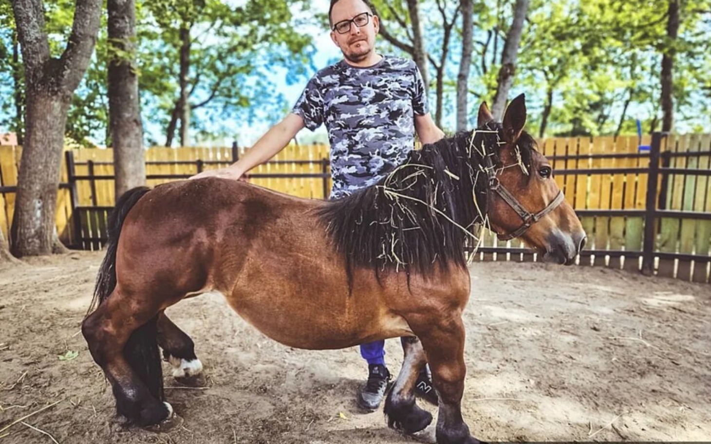 
        Mężczyzna z małym koniem w stajni, otoczony drzewami.
    