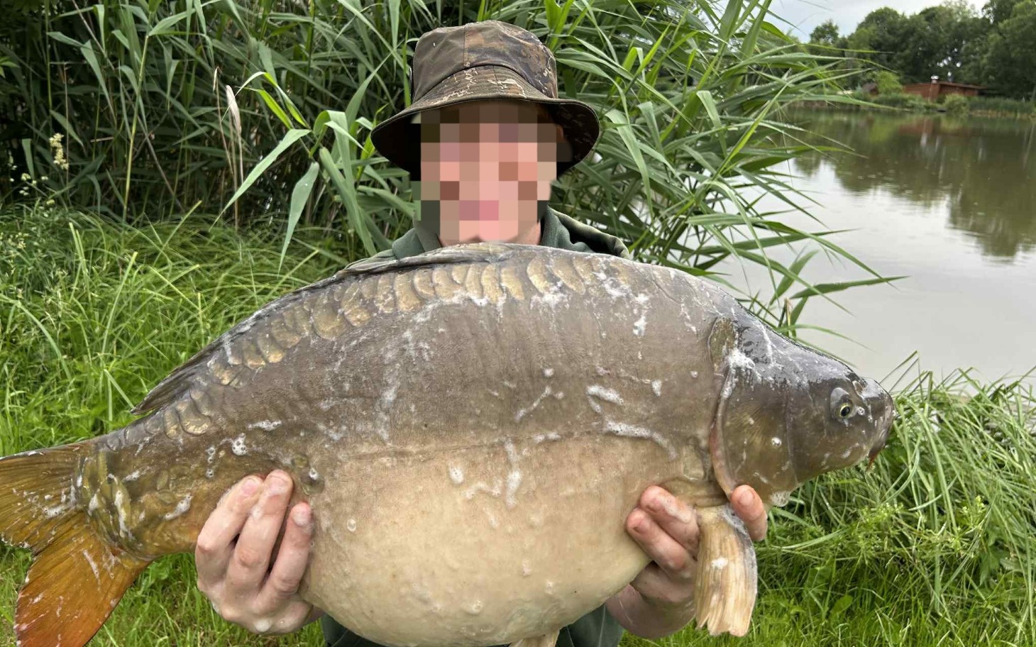 
        Wędkarz trzymający dużego karpia nad brzegiem wody.
    