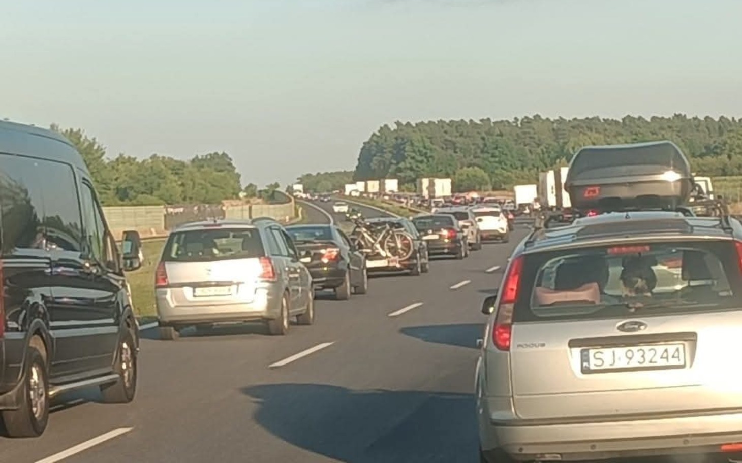 
        Zatłoczona droga z samochodami w korku, w tle zieleń.
    