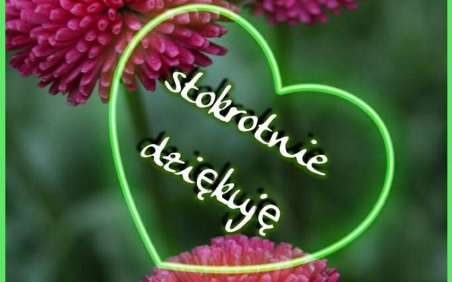 Kwiaty z napisem 'stobrotnie dziękuję' w sercu.