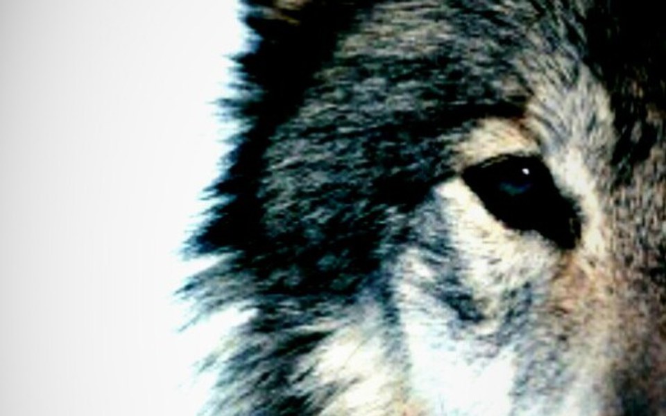 
        Zbiórka Dla egzystencji - zdjęcie główne
    