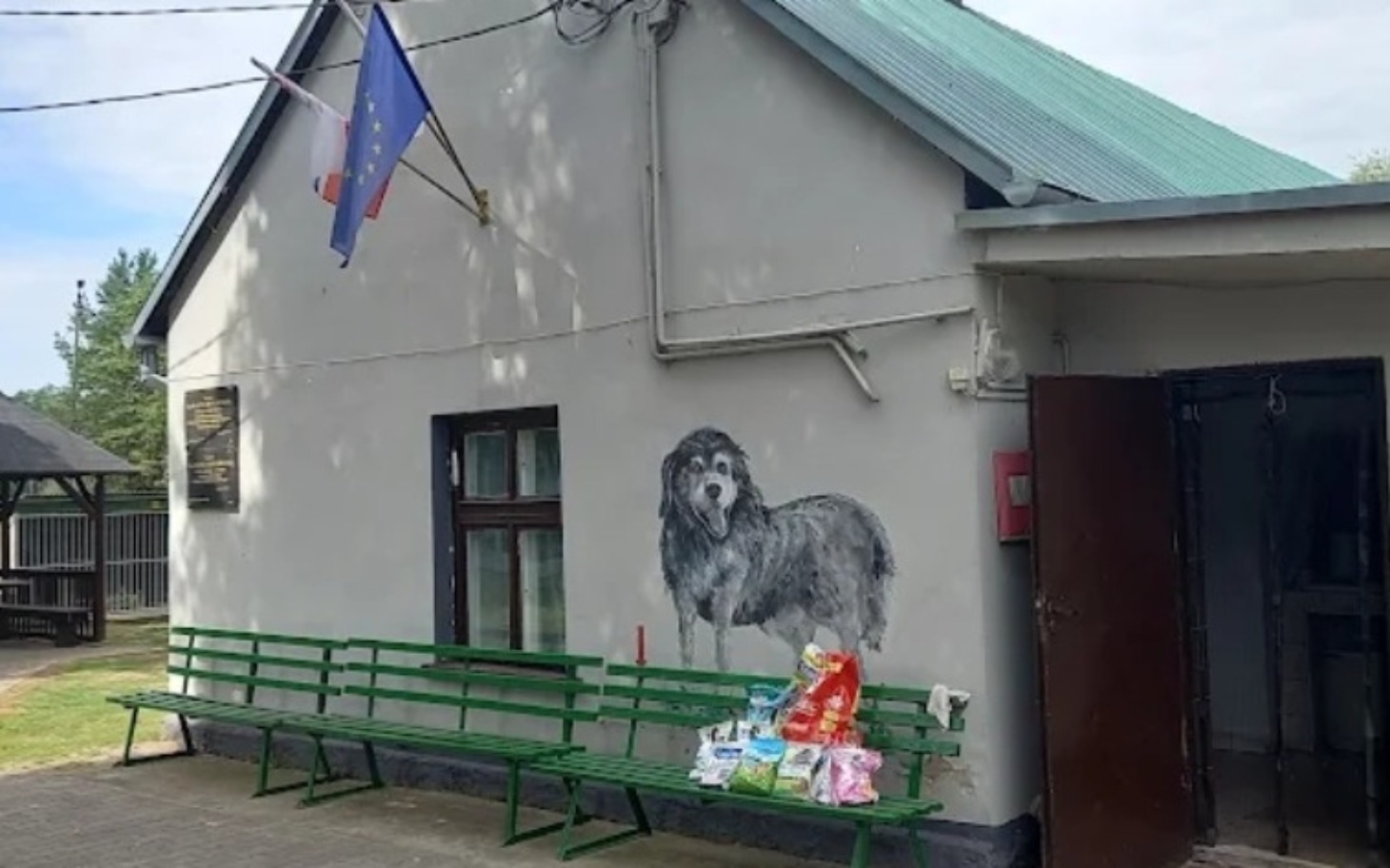 
        Mur z muralem przedstawiającym psa, z flagami na budynku.
    