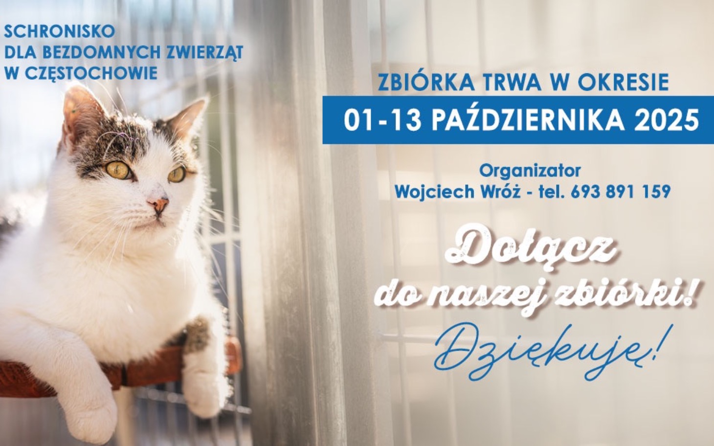 
        Plakat informujący o zbiórce dla schroniska dla zwierząt.
    