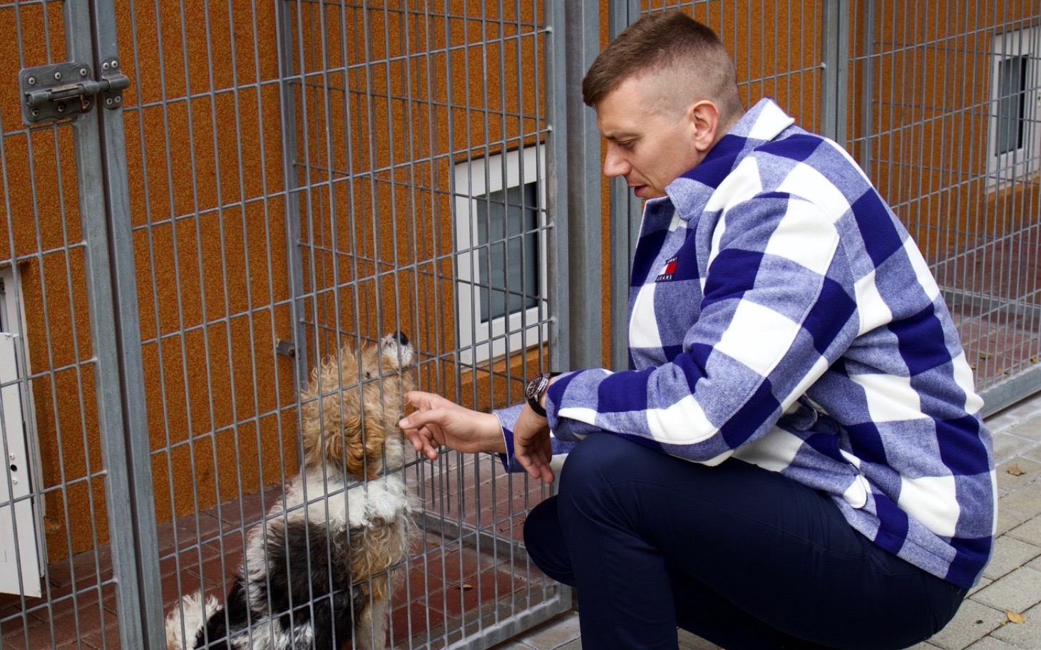 
        Mężczyzna w kratkę głaszcze psa przez ogrodzenie.
    