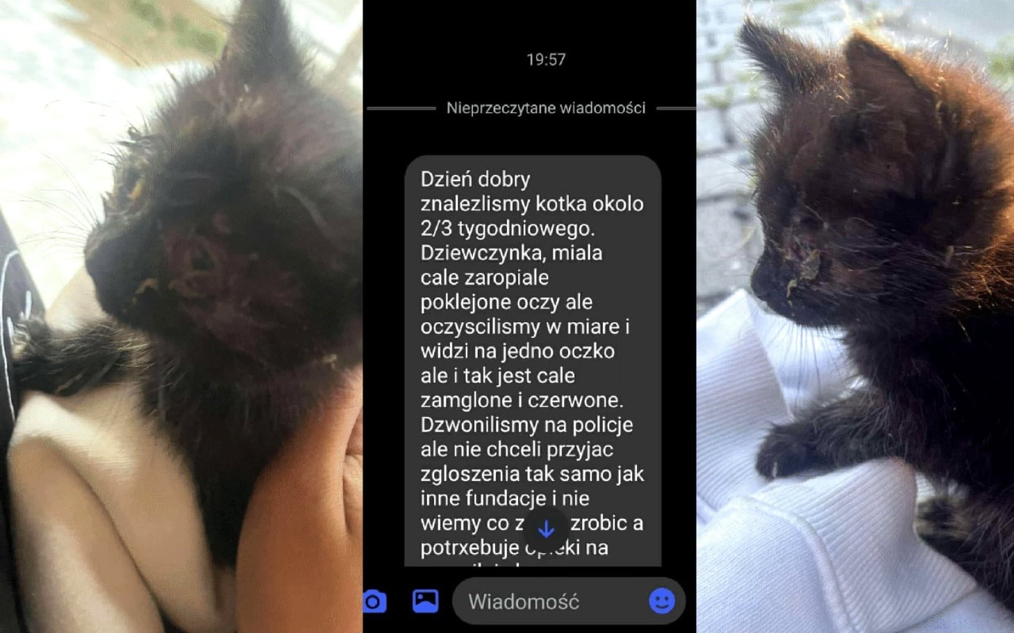 
        Znaleziony kotek z wiadomością o poszukiwaniach.
    