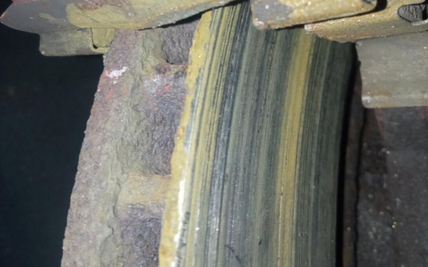 
        Królik otrzymujący pomoc medyczną.
    