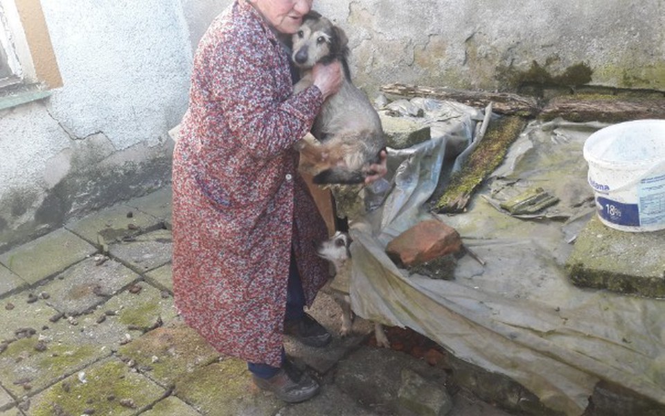 Zbiórka Staruszki chcą godnie  żyć - zdjęcie główne