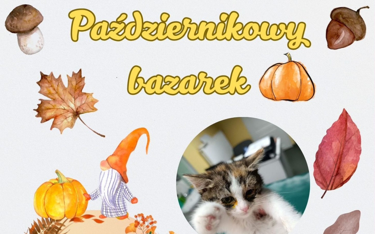 
        Kociak w październikowym bazarku, otoczony jesiennymi dekoracjami.
    