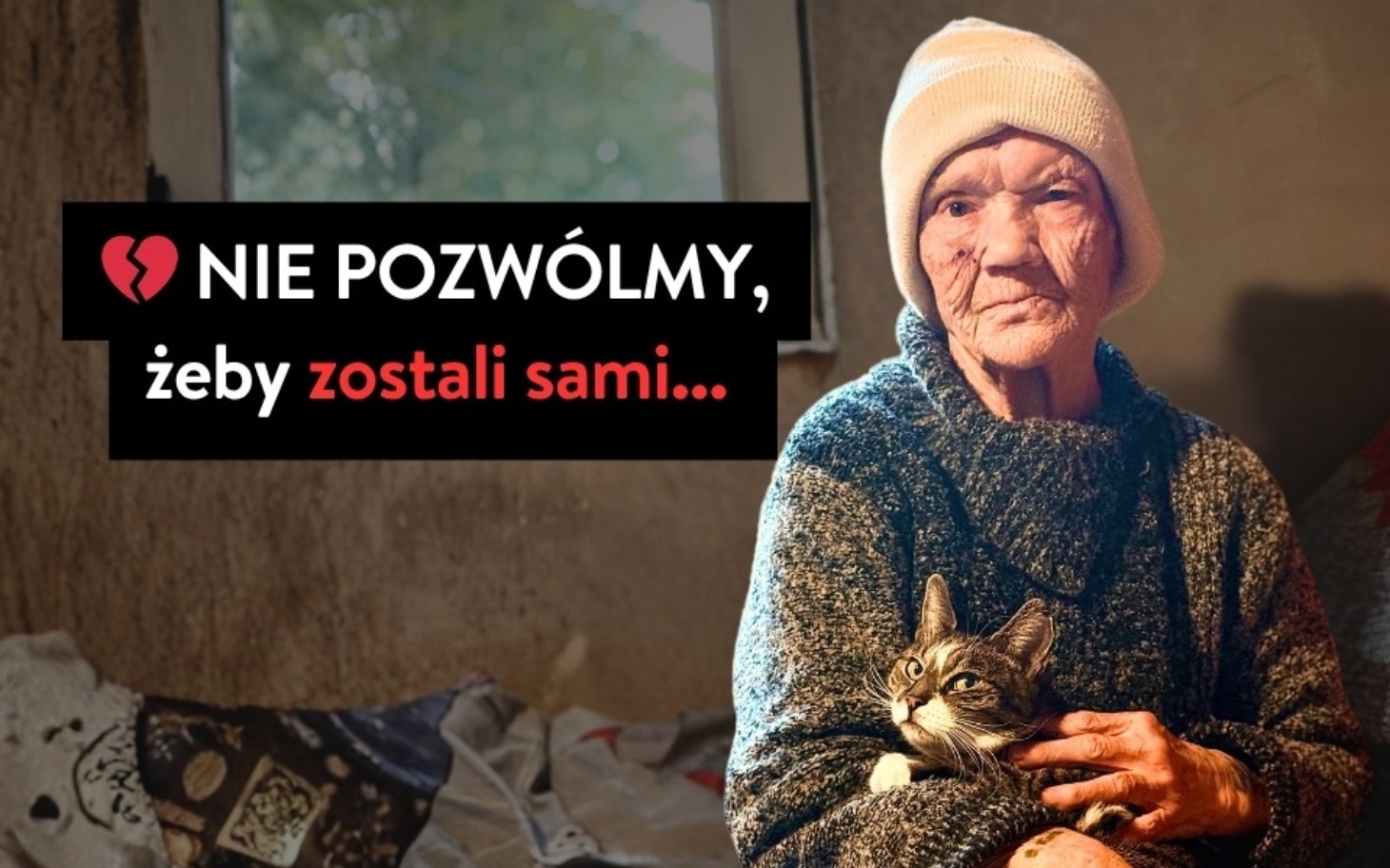 
        Starsza kobieta z kotem, apel o pomoc dla samotnych zwierząt.
    