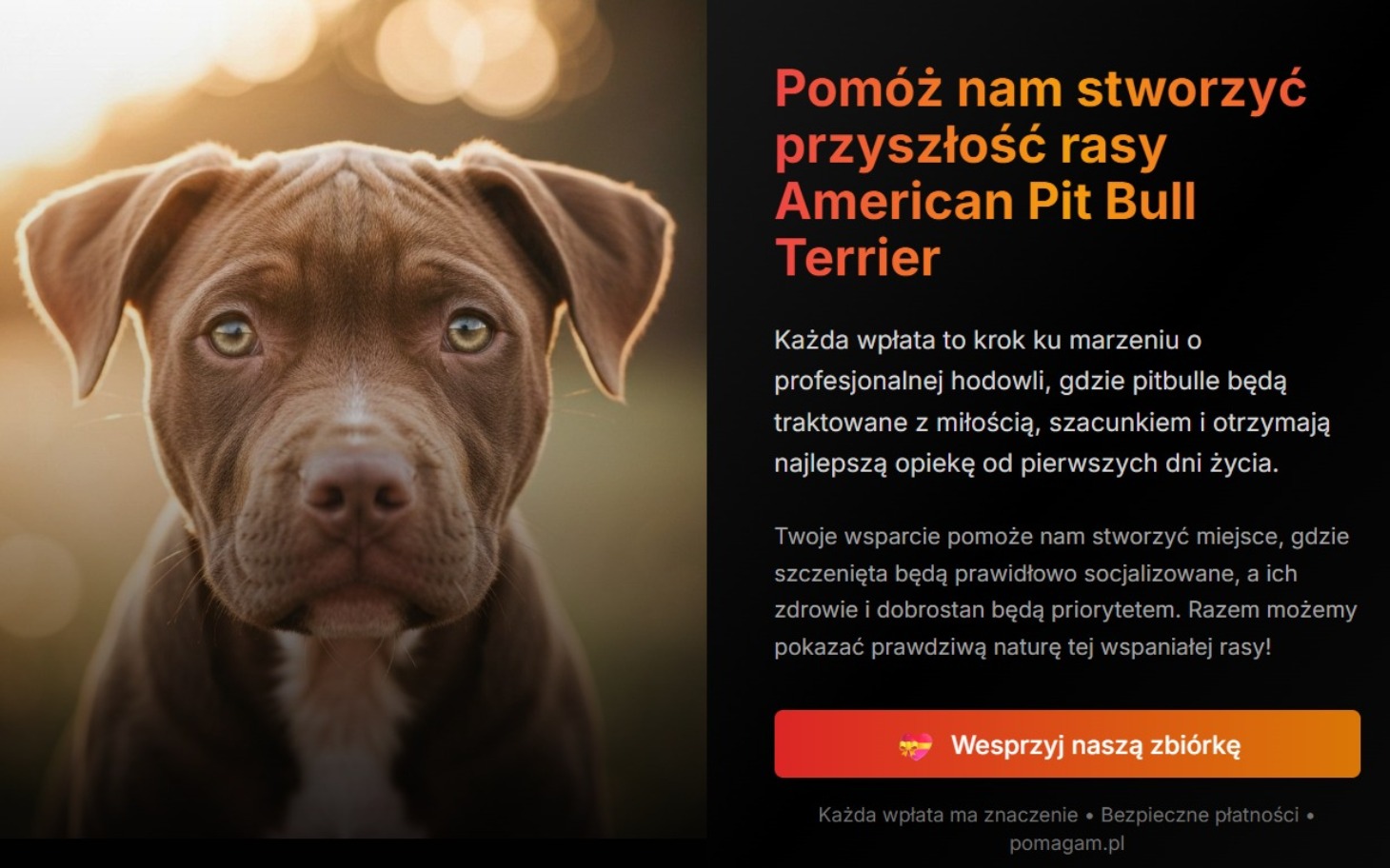 
        Pies rasy American Pit Bull Terrier, zachęta do wsparcia zbiórki.
    