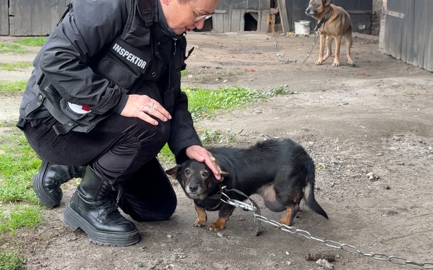 
        Inspektor głaszcze psa na łańcuchu.
    