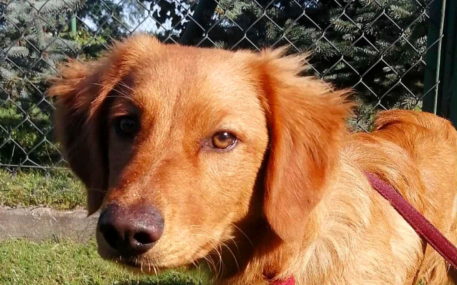 
        Mężczyzna w łódce wiosłuje po spokojnej wodzie.
    