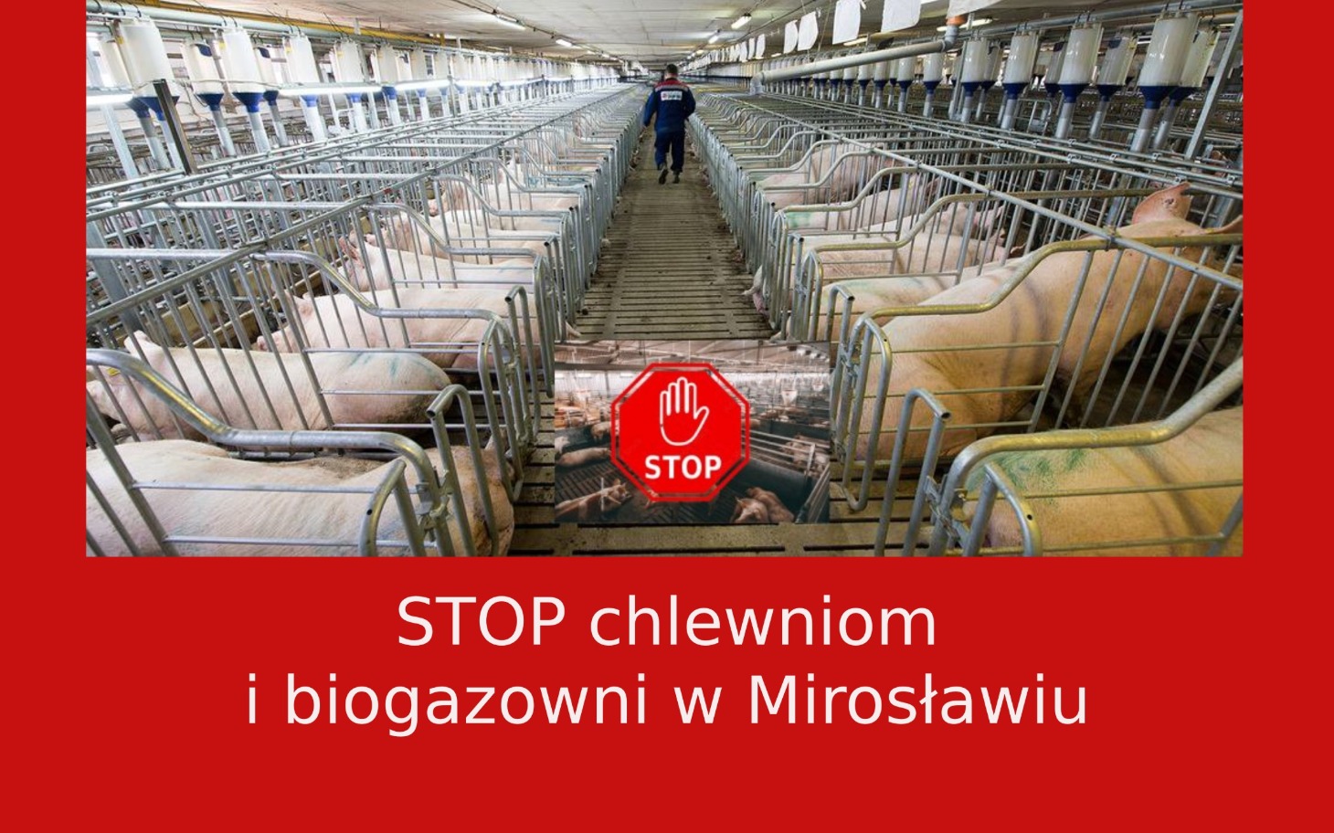 
        Zdjęcie przedstawiające chlewnie i biogazownię.
    