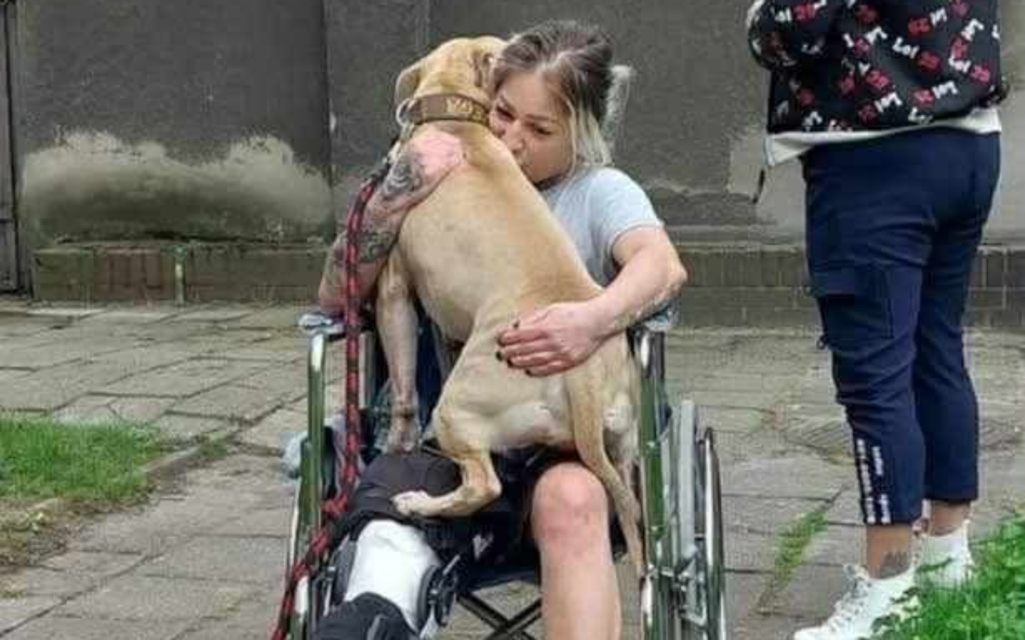 
        Kobieta w wózku inwalidzkim przytula psa.
    