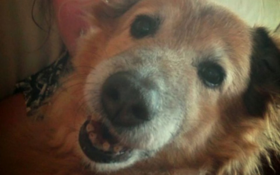 
        Zbiórka Fundacja Emir - zdjęcie główne
    