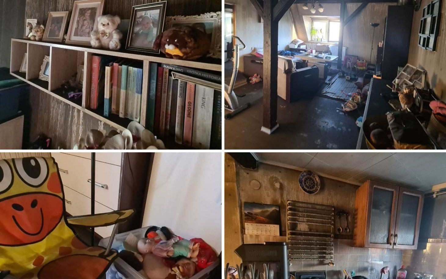 
        Zabytkowe wnętrze z książkami i pluszakami na półkach.
    