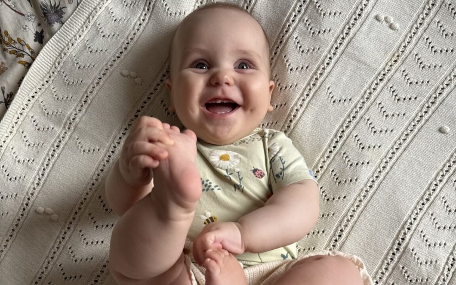 
        Ilustracja z różnymi zwierzętami domowymi w stylu kreskówkowym.
    