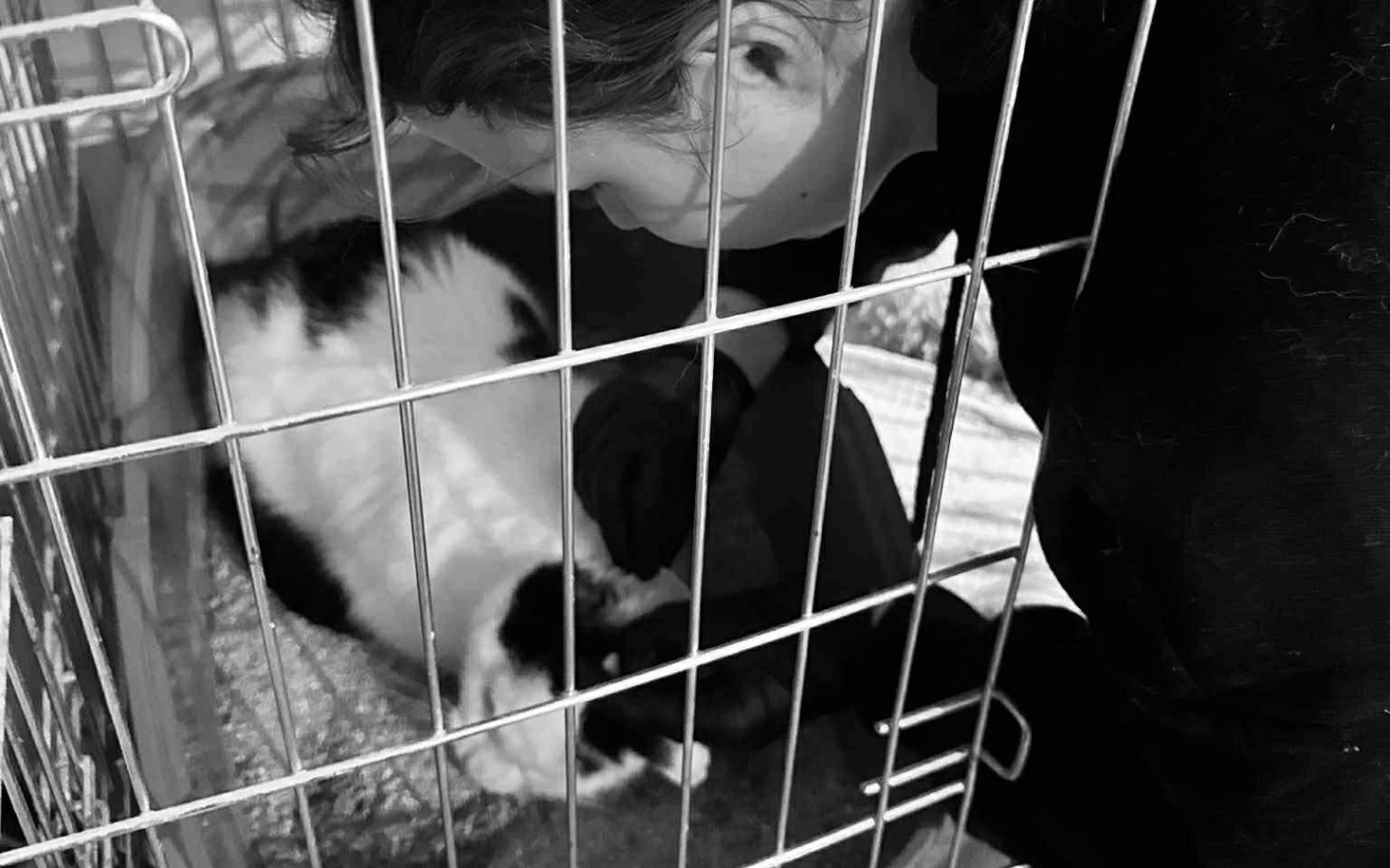 
        Osoba opiekująca się kotem w klatce.
    