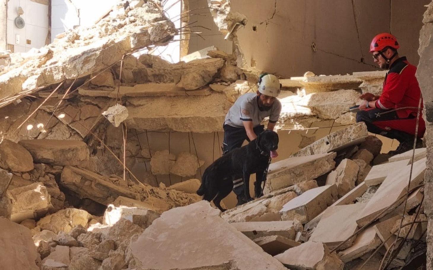 
        Ratownicy z psem w zniszczonym budynku, poszukujący osób.
    