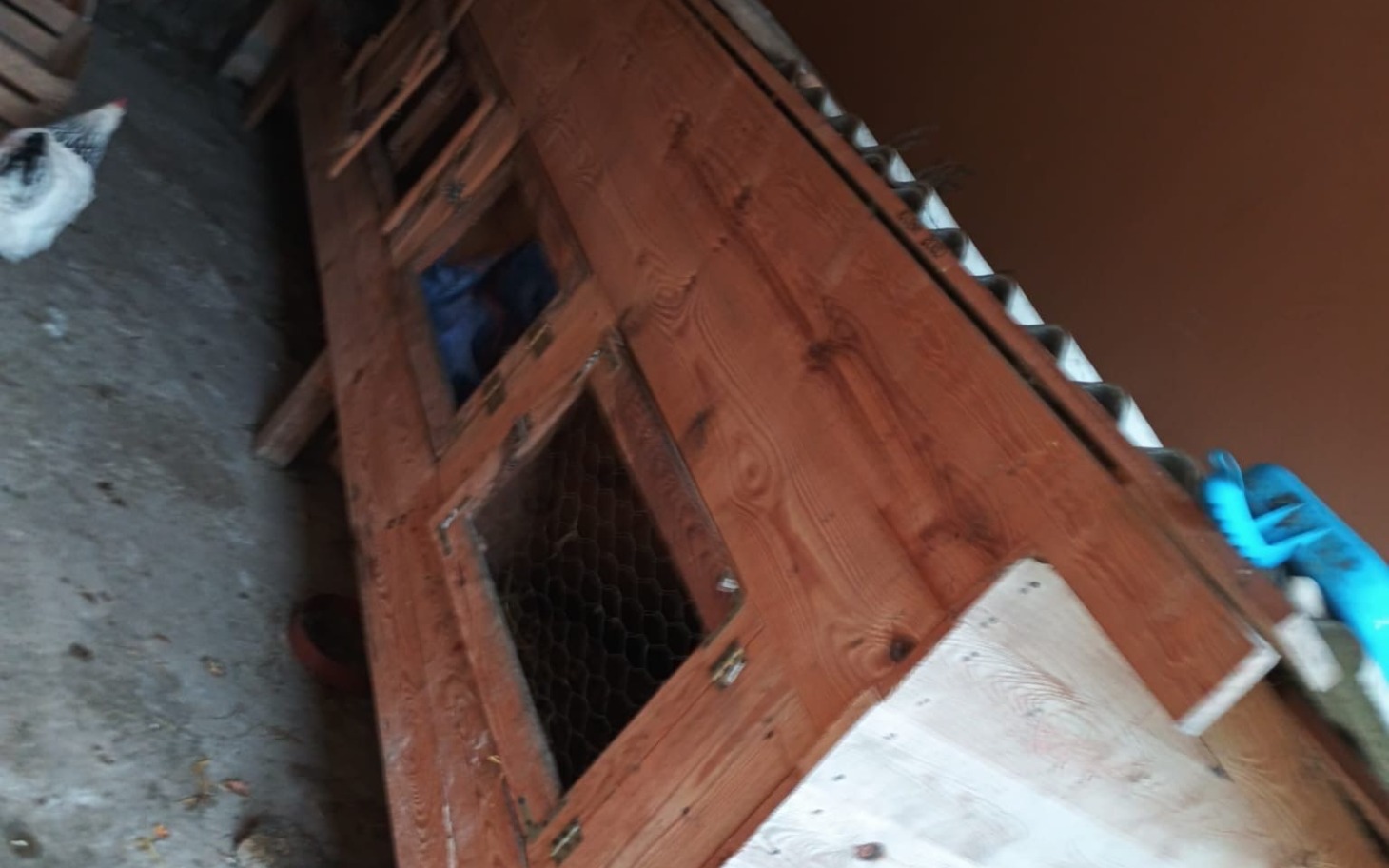 
        Drewniana klatka dla zwierząt w pomieszczeniu.
    