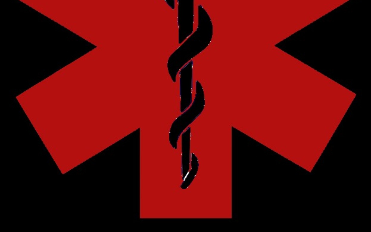 
        Symbol medycyny, znak pomocy.
    