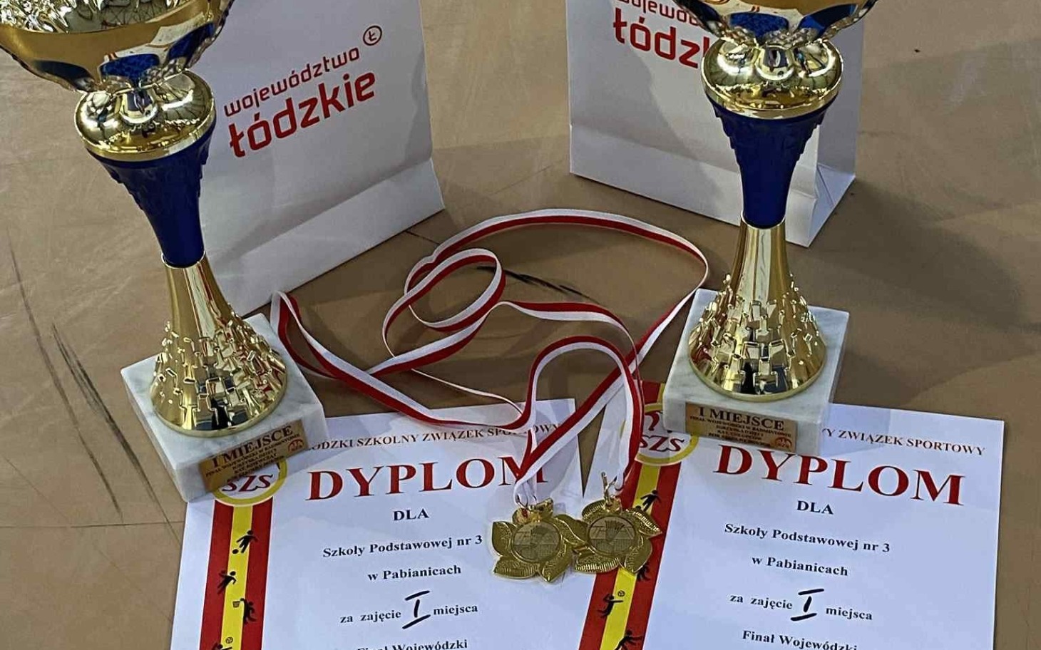 Puchary i dyplomy za osiągnięcia sportowe.