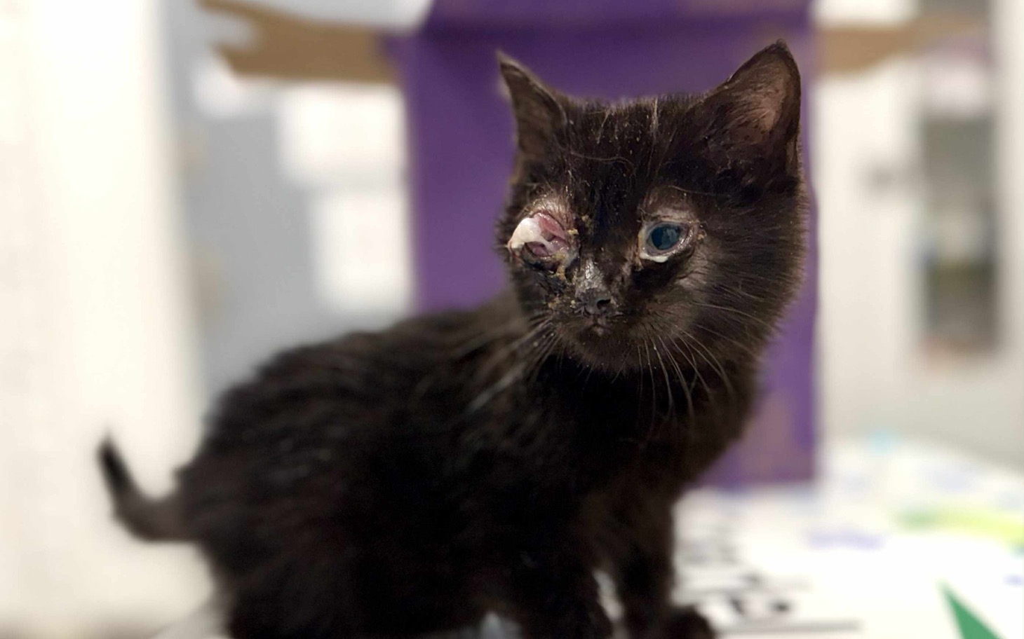 
        Dziecko trzymające pluszowego misia, wyrażające smutek i tęsknotę.
    