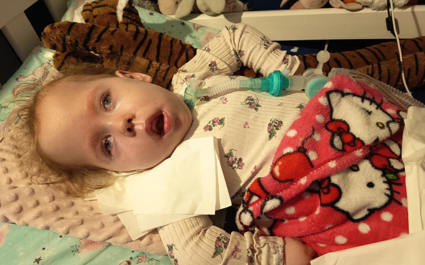 
        Mała dziewczynka w łóżku, otoczona pluszakami.
    