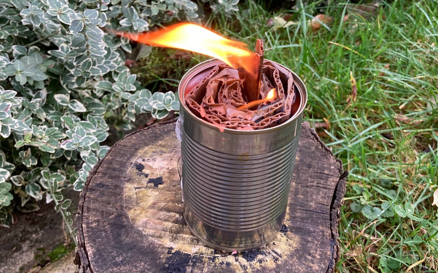 
        Pojemnik z płonącym papierem, ogień w naturalnym otoczeniu.
    