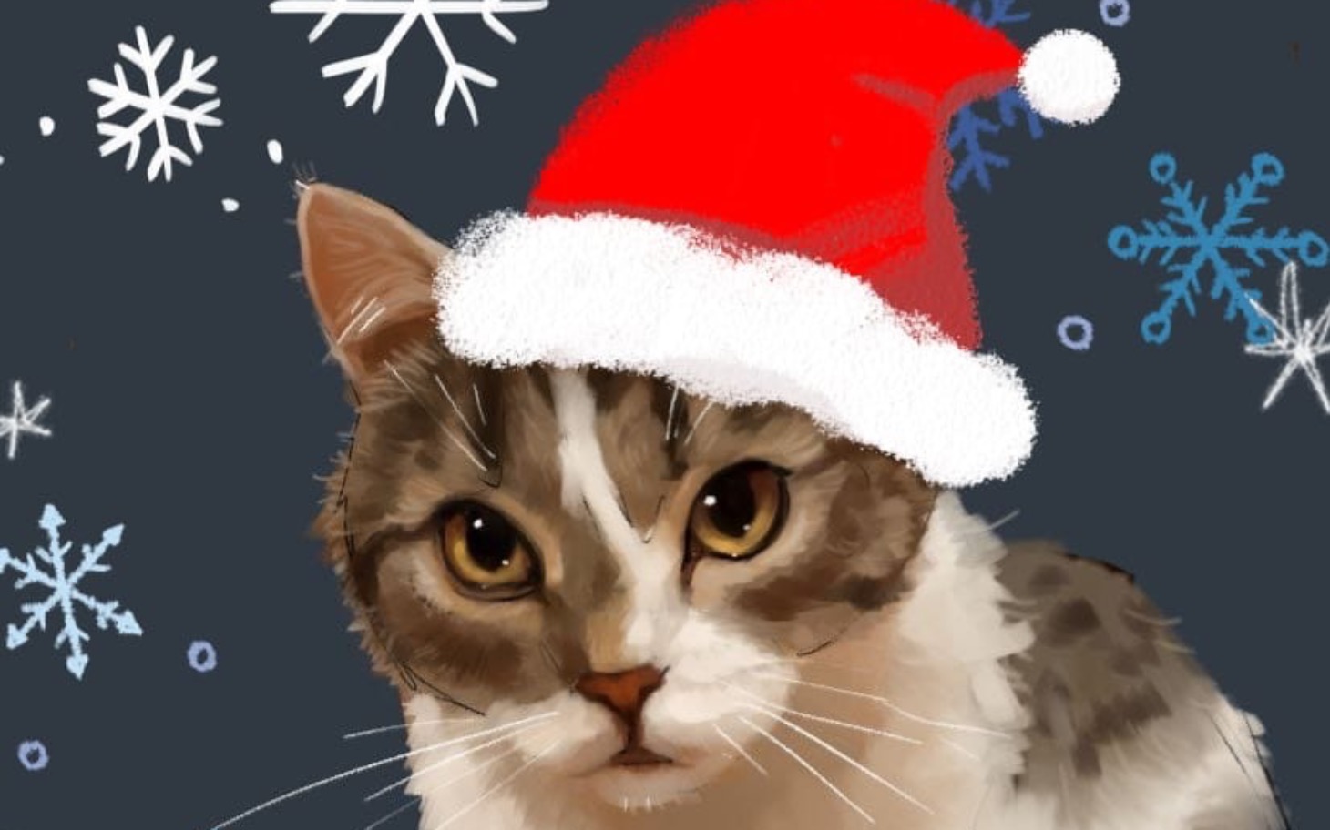 
        Ilustracja kota w świątecznym kapeluszu.
    