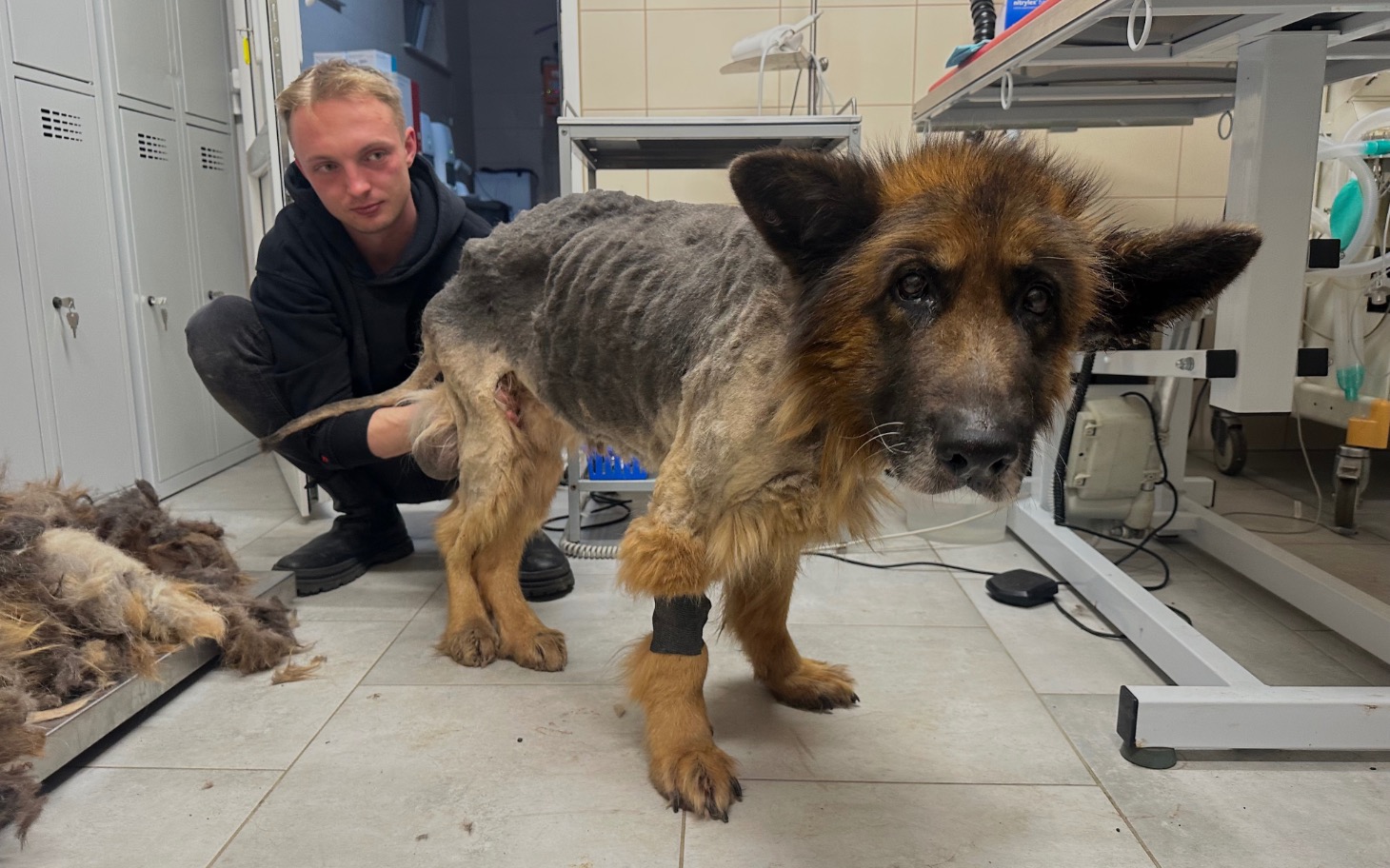 
        Pies z problemami skórnymi, w towarzystwie opiekuna.
    