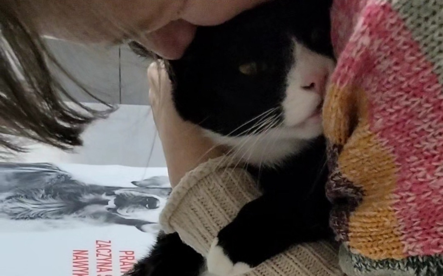 
        Kot przytulony do właściciela, zrelaksowany i spokojny.
    