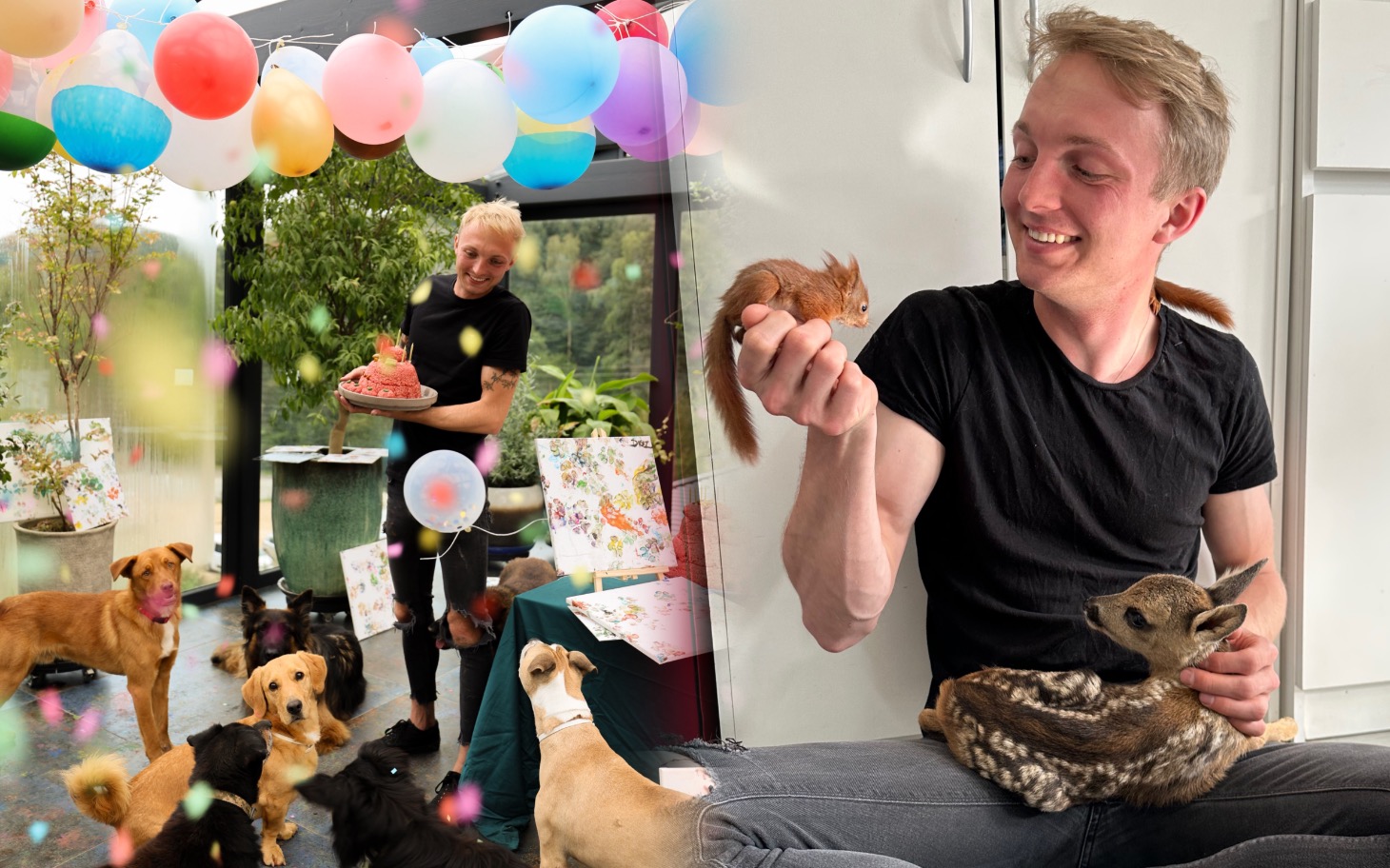 
        Urodzinowa impreza z psami i kolorowymi balonami.
    