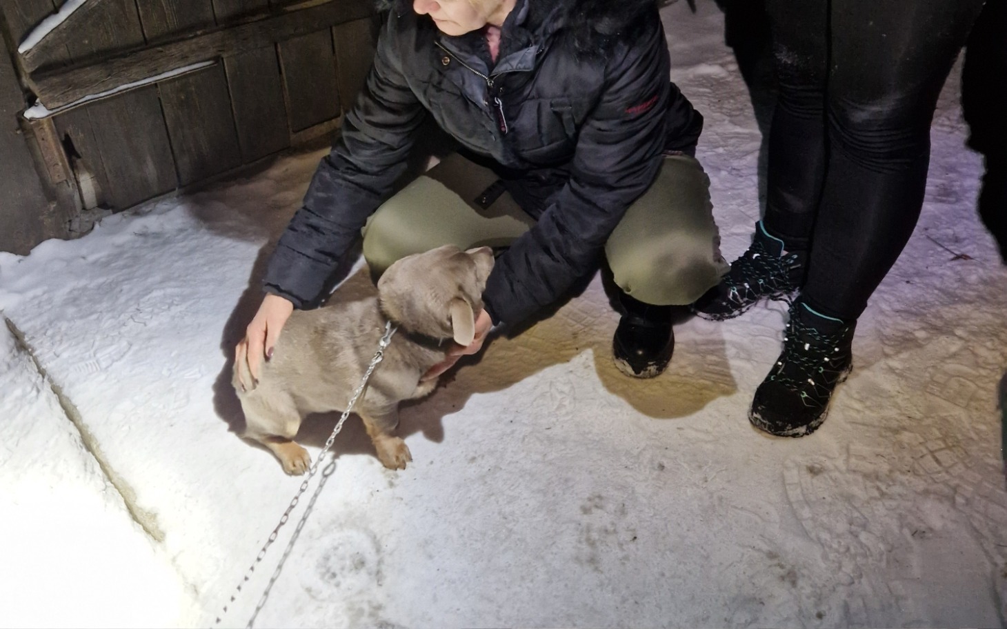 
        Piesek na śniegu, przytulany przez osobę w ciepłej kurtce.
    