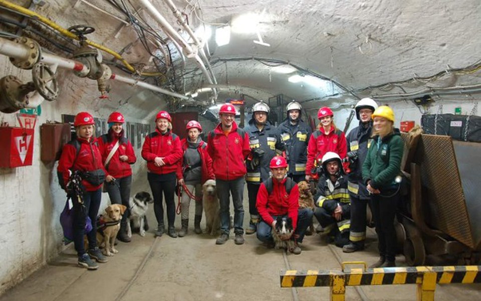 Zbiórka Wielkie Dzięki - udało się ! - zdjęcie główne