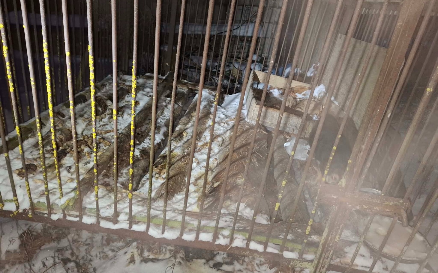 
        Zabrudzone miejsce w klatce, z resztkami śniegu.
    