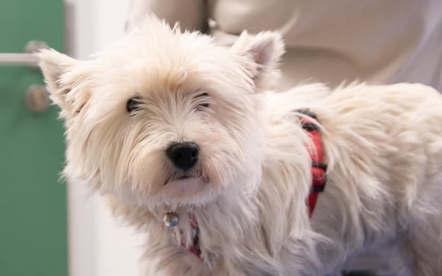 
        Dokument z datą i informacjami prawnymi.
    