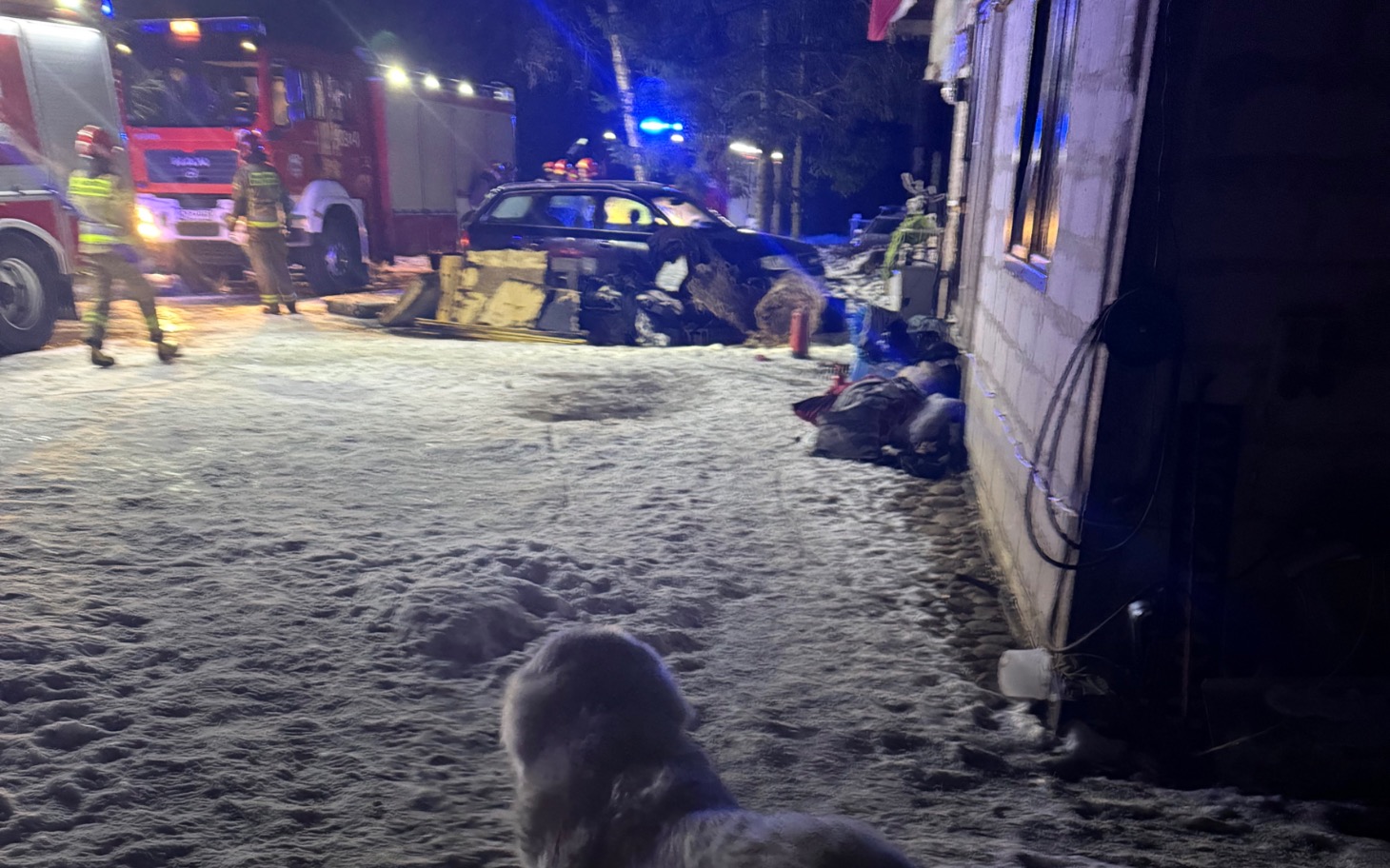 
        Akcja ratunkowa w zimowej scenerii z psem.
    