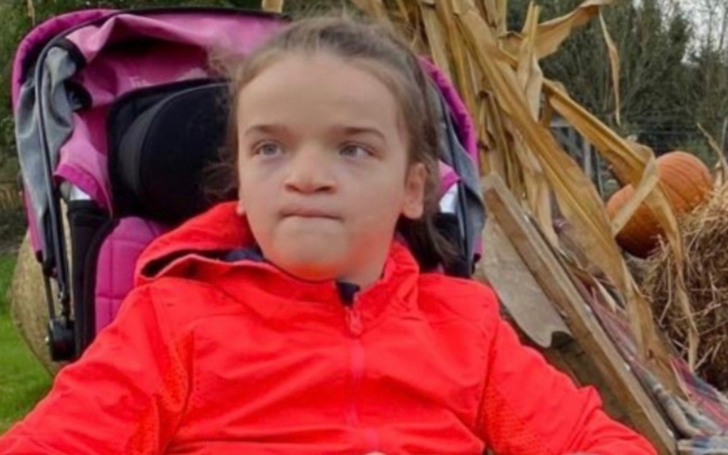 
        Dziewczynka w wózku na tle kukurydzy, w czerwonej kurtce.
    