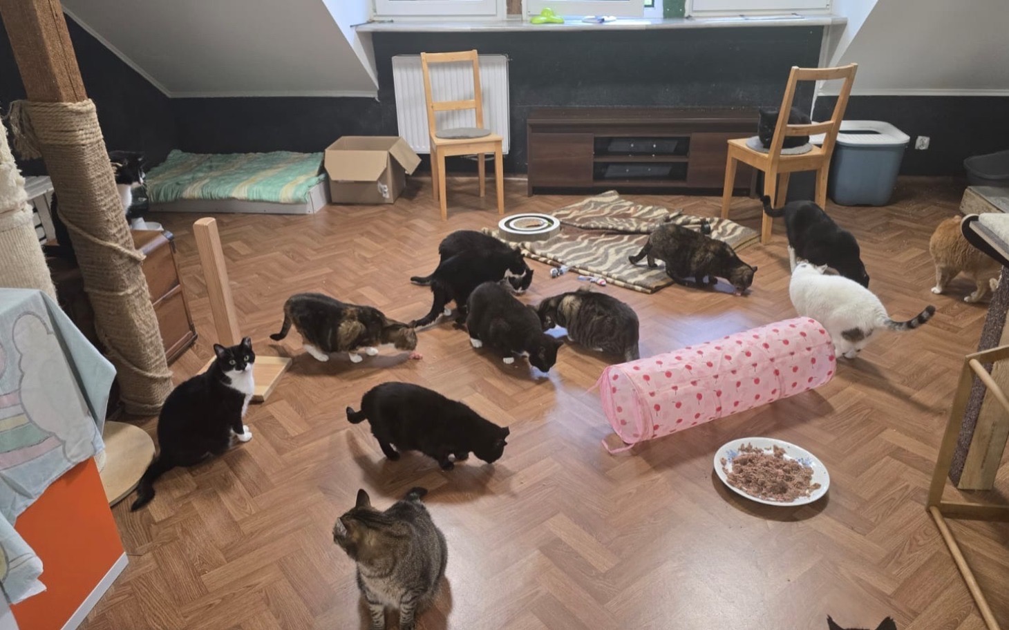 
        Zniszczona zabawka w kształcie misia, pokryta brudem.
    