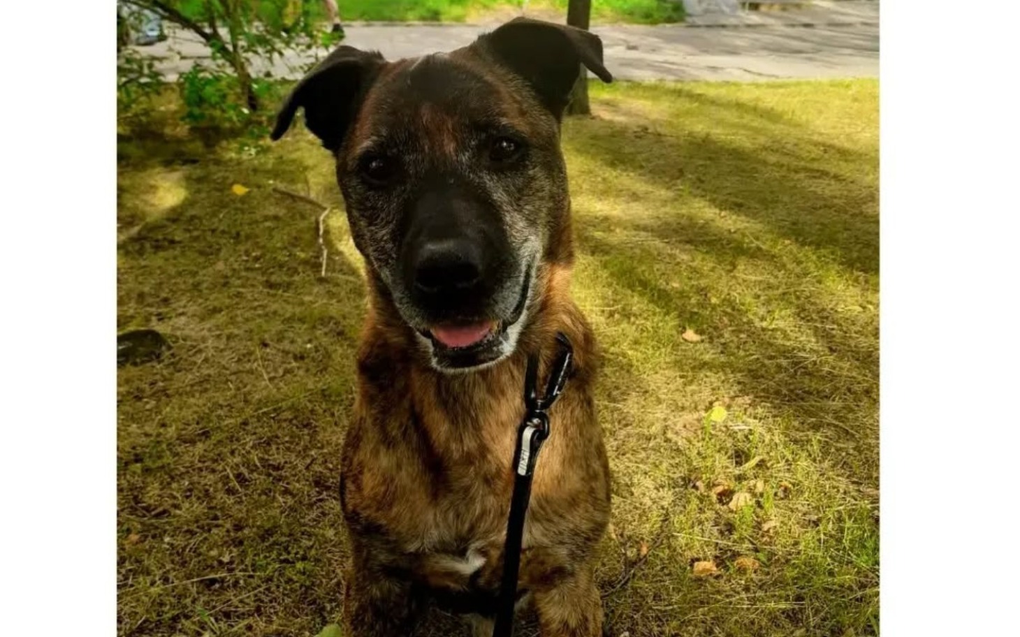 
        Obrazek ilustrujący wsparcie dla osób w trudnej sytuacji.
    