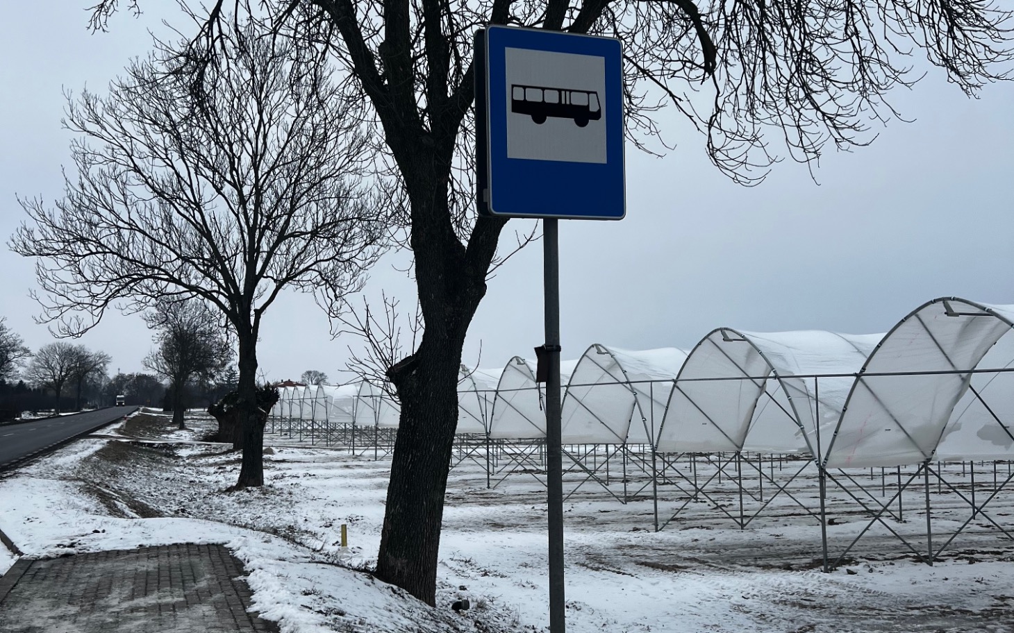 
        Widok na przystanek autobusowy w zimowej scenerii.
    