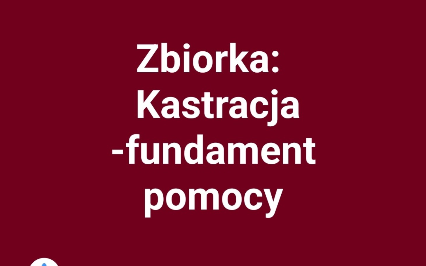 
        Zbiórka na kastrację zwierząt, ważny krok w pomocy.
    