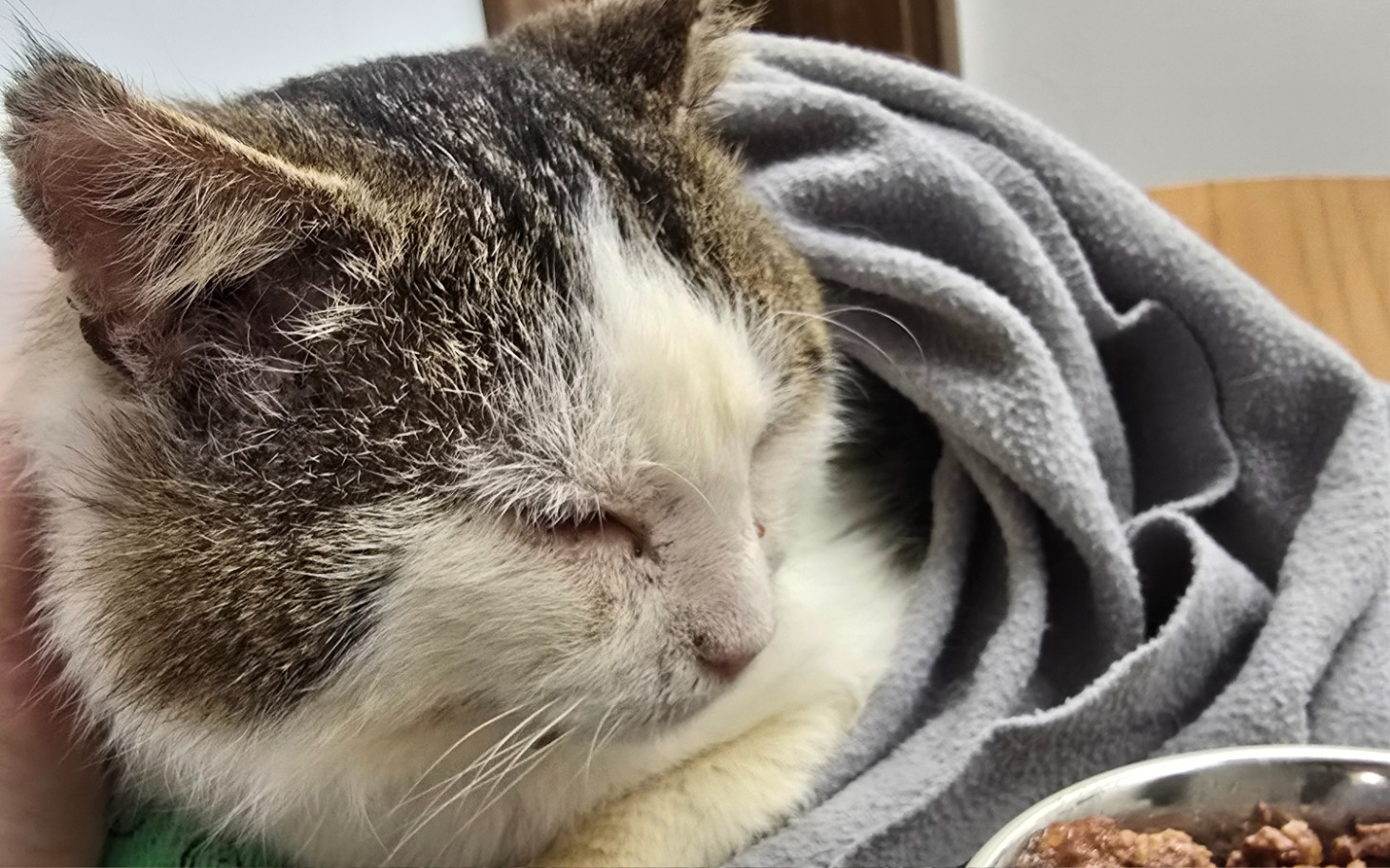 
        Nowoczesny samochód zaparkowany na podjeździe.
    