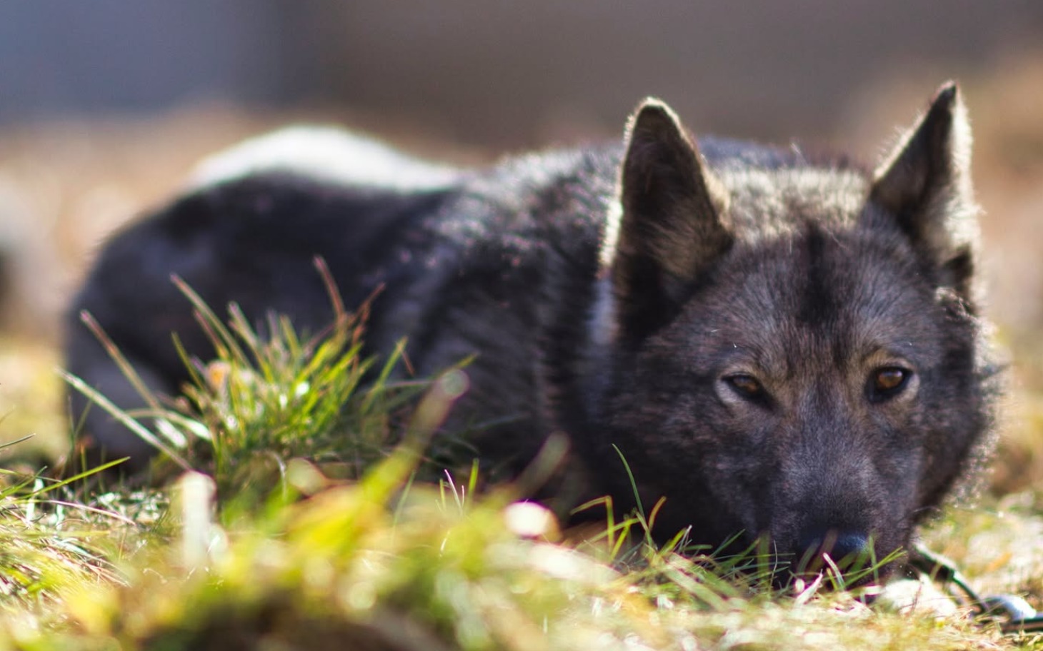 
        Mężczyzna w czapce, selfie na tle kamieni.
    